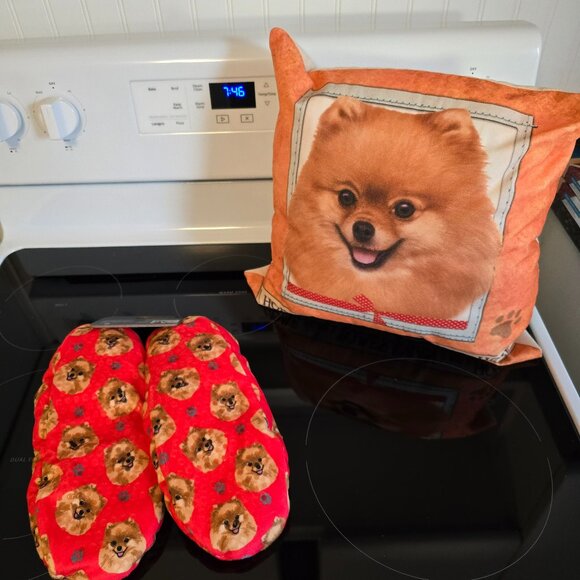 Pomeranian New Lot Slippers & Large Pomeranian Pillow Just gorgeous - Picture 1 of 5